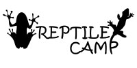 Reptile01